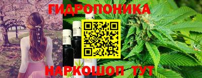 apvp Севастополь