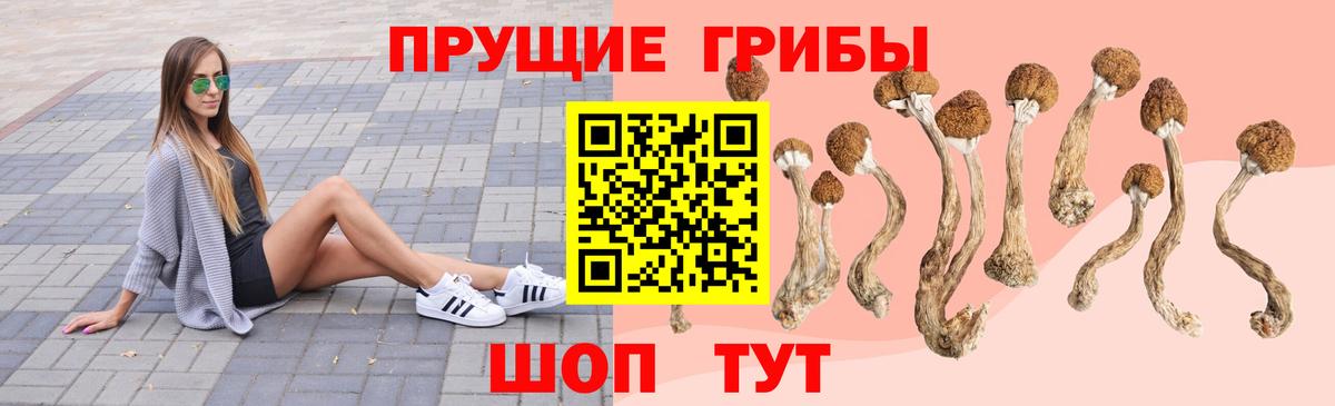 Галлюциногенные грибы Magic Shrooms Полысаево